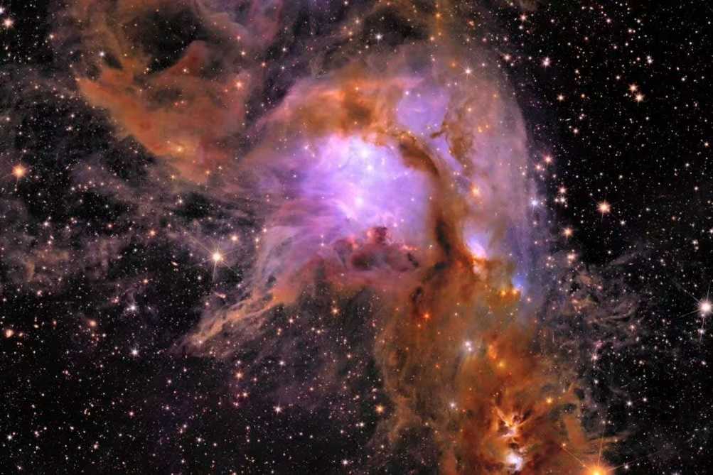 Euclid Space Telescope Unveils First Scientific Results